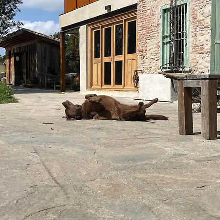 Mas Des Fleurs - Gpv アパート