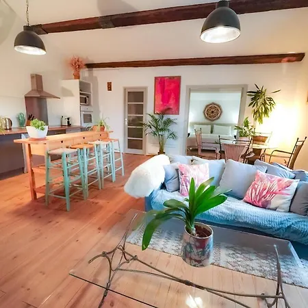 Mas Des Fleurs - Gpv Περπινιάν